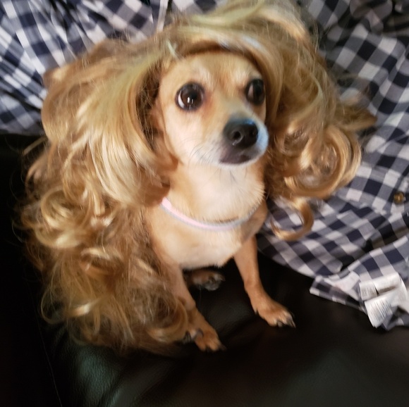 ccthib